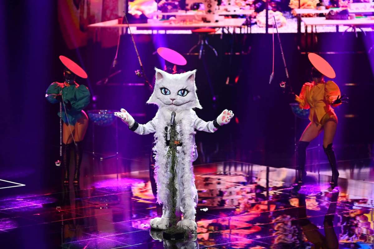 Katze bei "The Masked Singer"