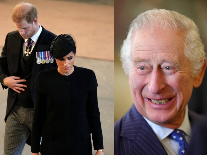 König Charles Prinz Harry Meghan