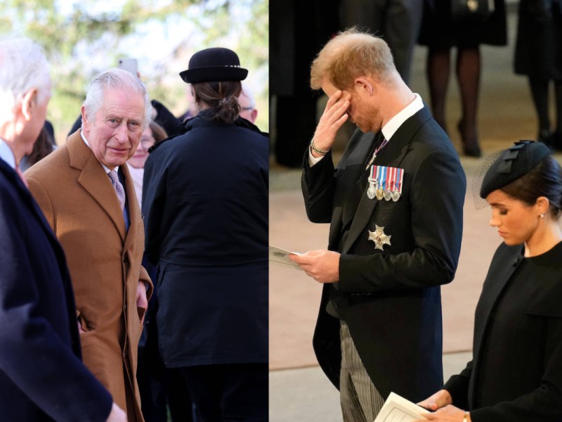 König Charles Prinz Harry Meghan