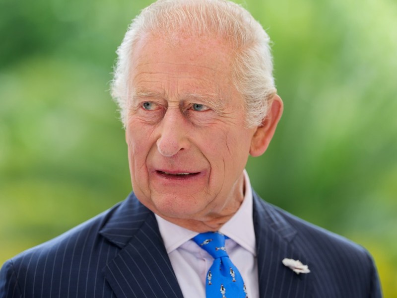 König Charles sorgt für bizarren Moment – es geschah in der Öffentlichkeit